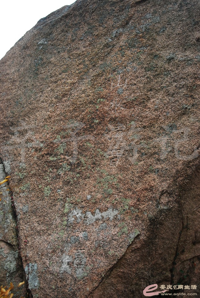 DSC_1348.jpg