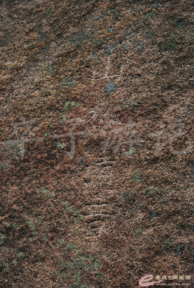 DSC_1349.jpg