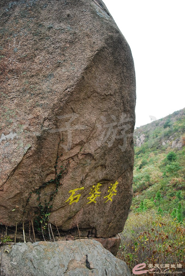DSC_1352.jpg