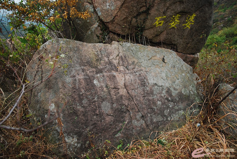 DSC_1353.jpg