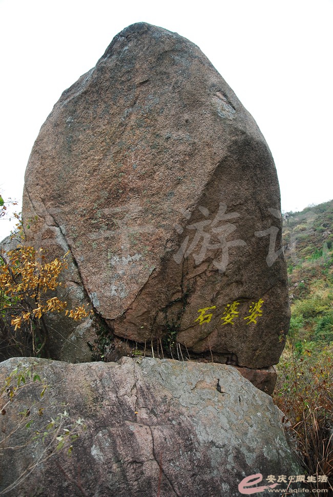 DSC_1355.jpg