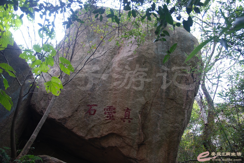 07.jpg