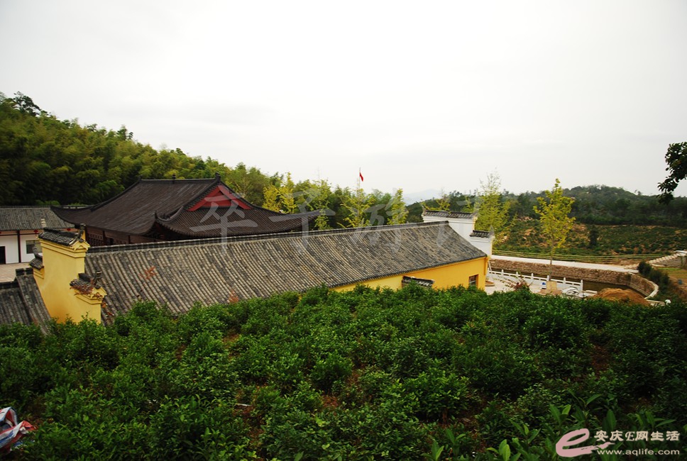 DSC_1561.jpg