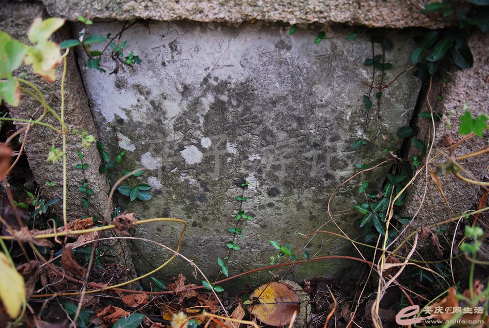 DSC_1573.jpg