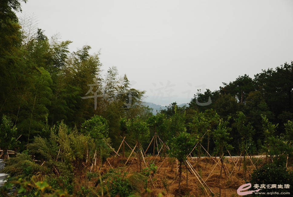 DSC_1589.jpg