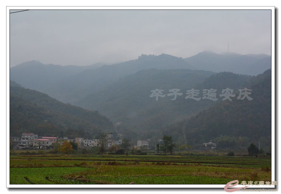 20151114 070.jpg