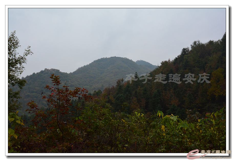 20151114 086.jpg