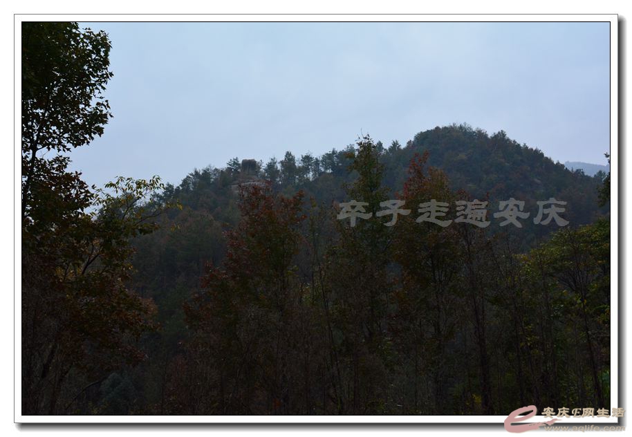 20151114 103.jpg