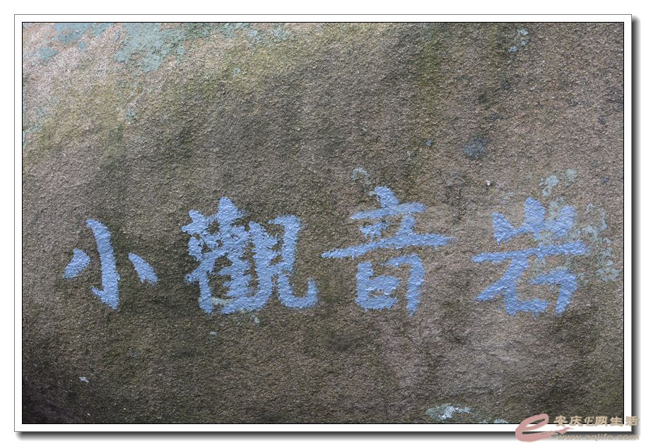 20151114 310.jpg
