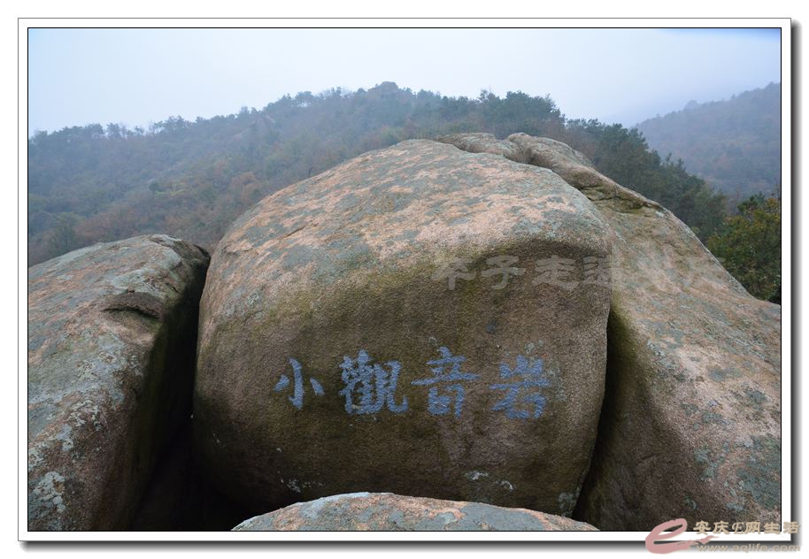 20151114 326.jpg