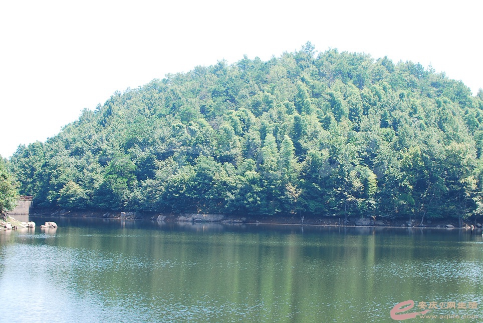 02.jpg