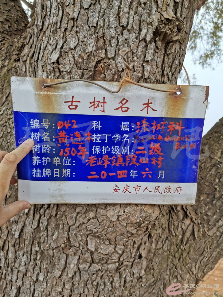 IMG_20191027_164057.jpg