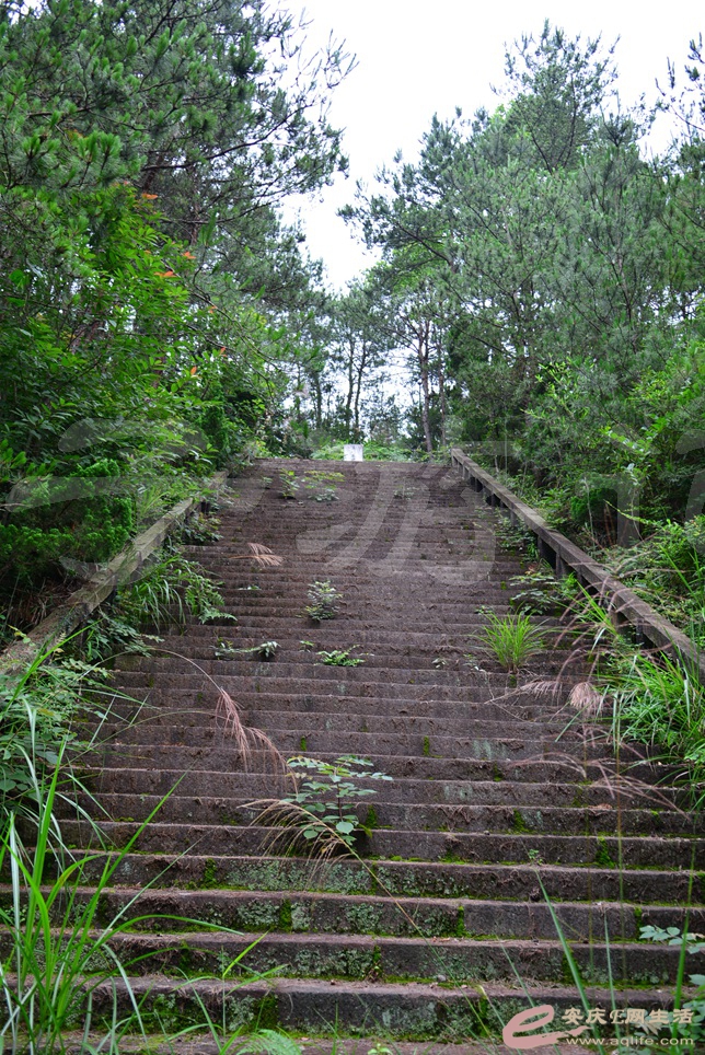 103.jpg