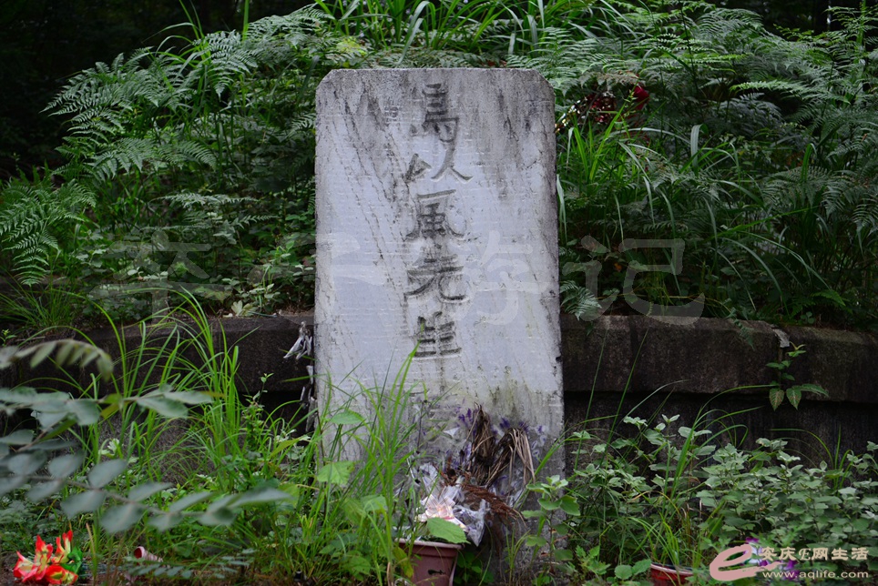 145.jpg