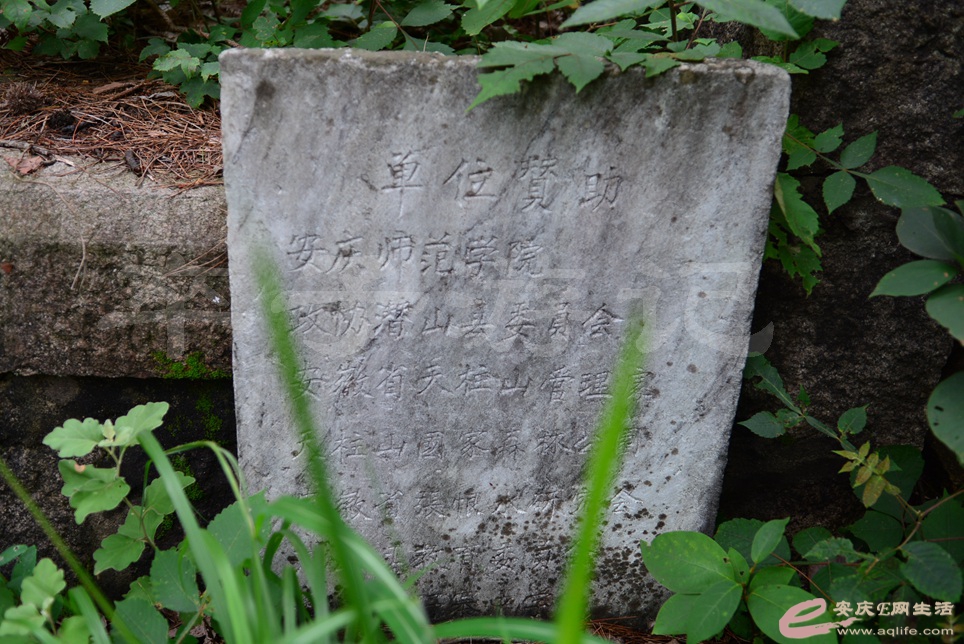 147.jpg