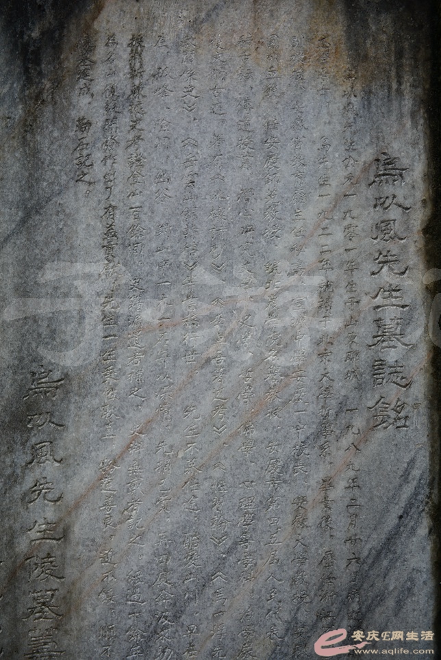 169.jpg