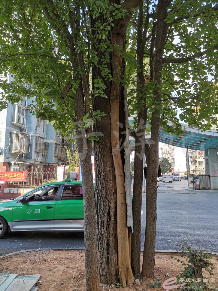 IMG_20191102_080846.jpg