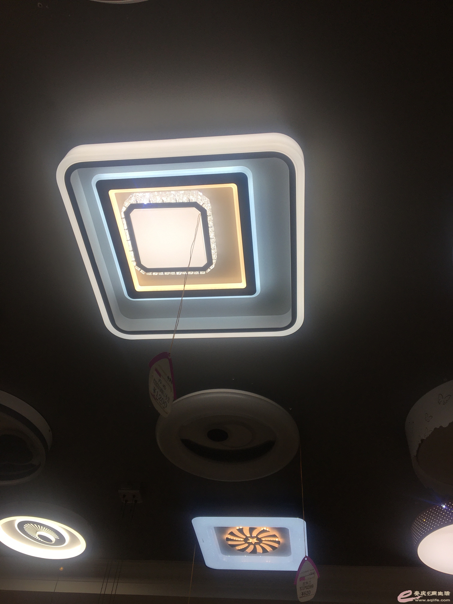 1578202132135184717.jpg