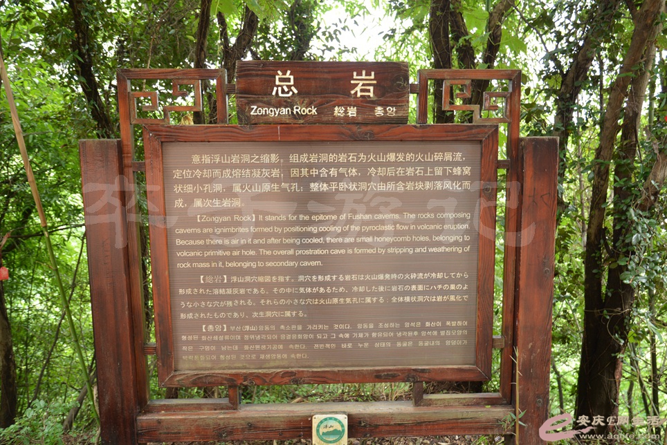 03.jpg