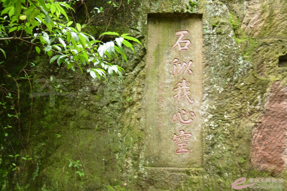 04.jpg