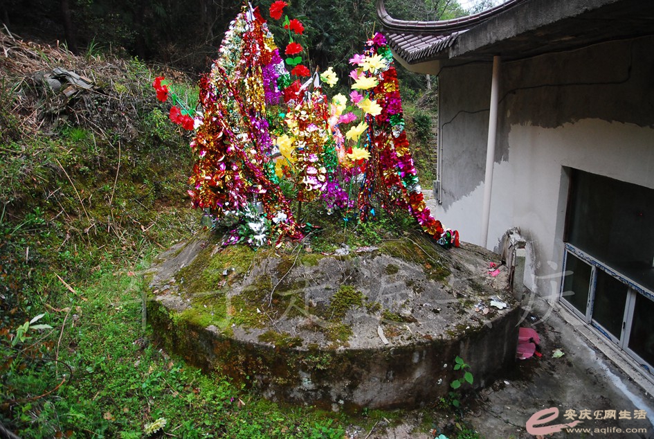 DSC_3010.jpg