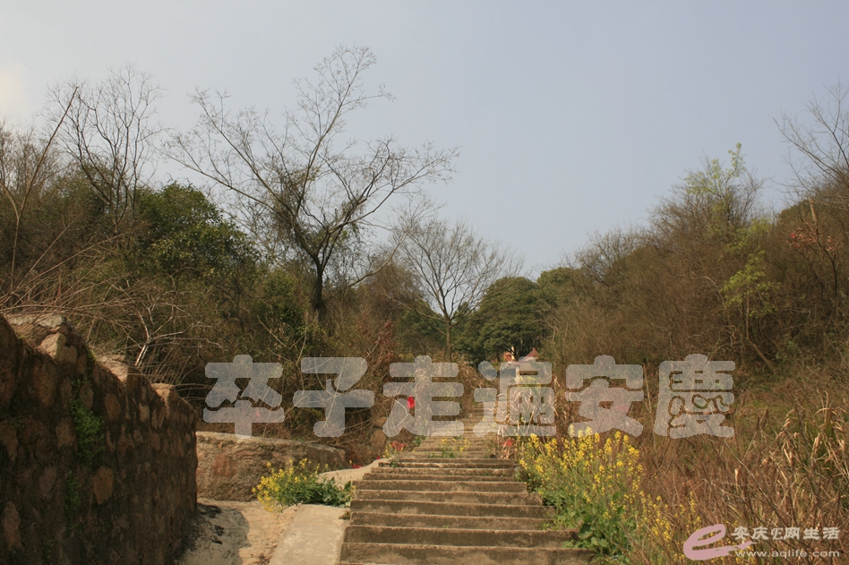 20170311 081.jpg