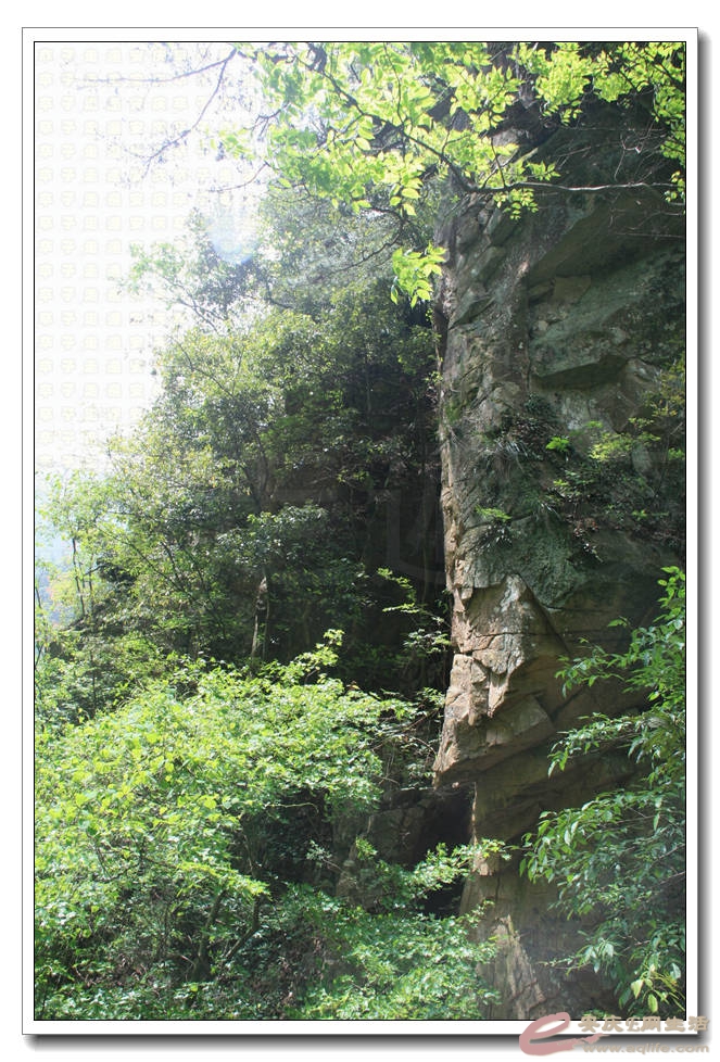 20150501 216.jpg