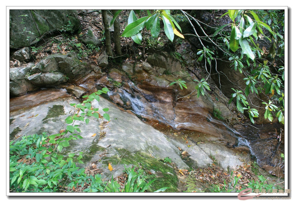 20150501 447.jpg