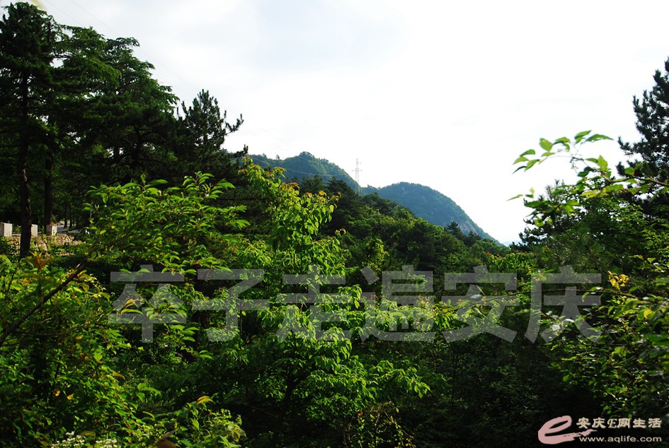 DSC_9621.jpg