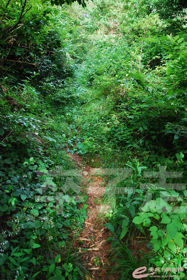 DSC_9626.jpg