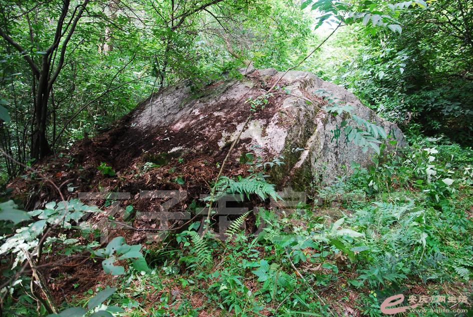 DSC_9734.jpg