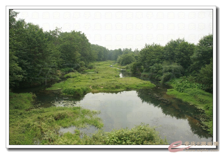 20140823 130.jpg