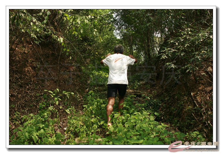 20140823 176.jpg