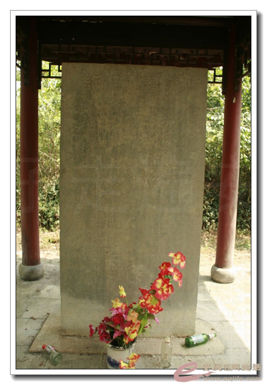 20140823 186.jpg