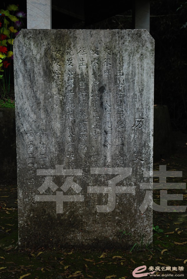 DSC_3618.jpg