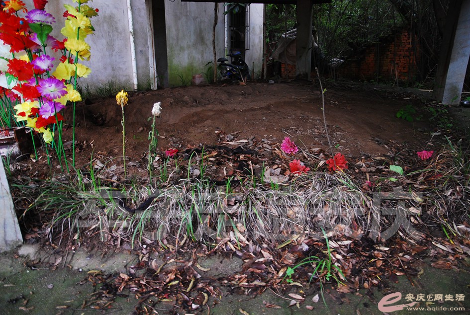 DSC_3625.jpg