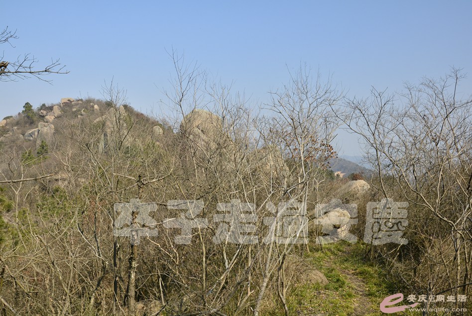 20170211 117.jpg