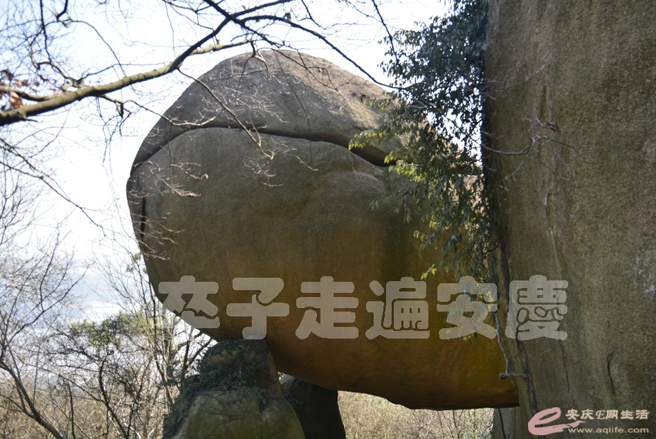 20170211 160.jpg