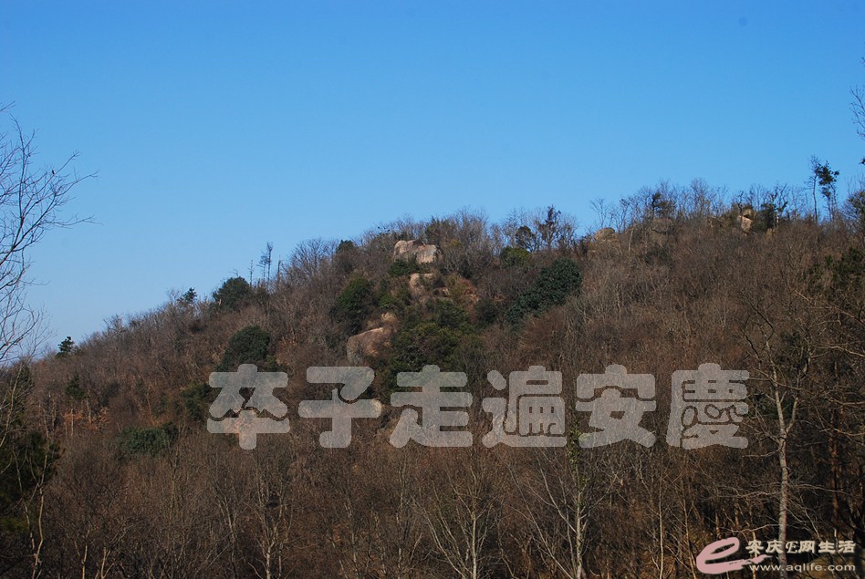 DSC_3078.jpg