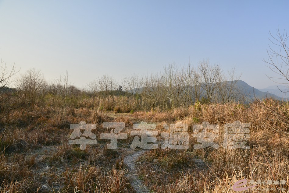20170121 012.jpg