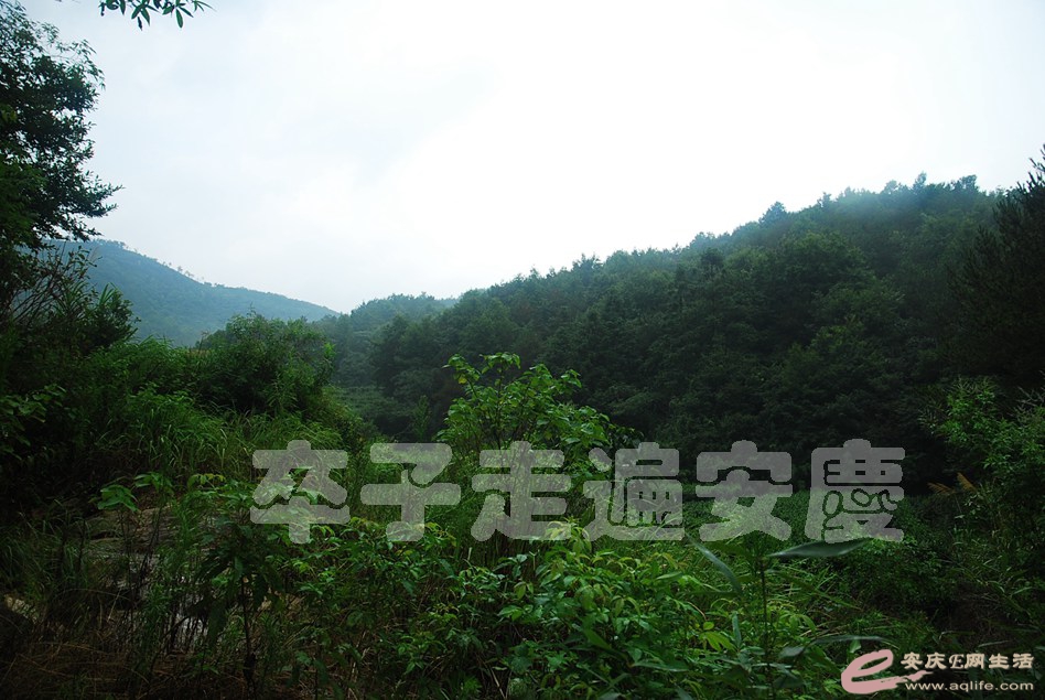 20170805 000.jpg