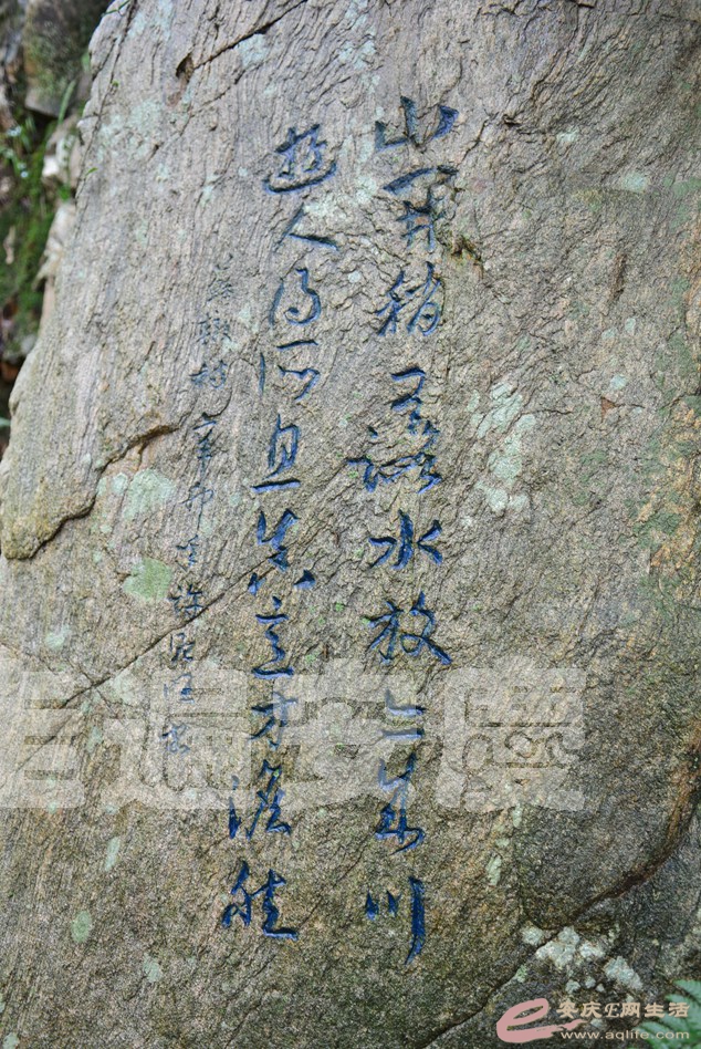 DSC_7268.jpg