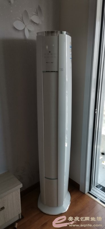 mmexport1587871855751.jpg