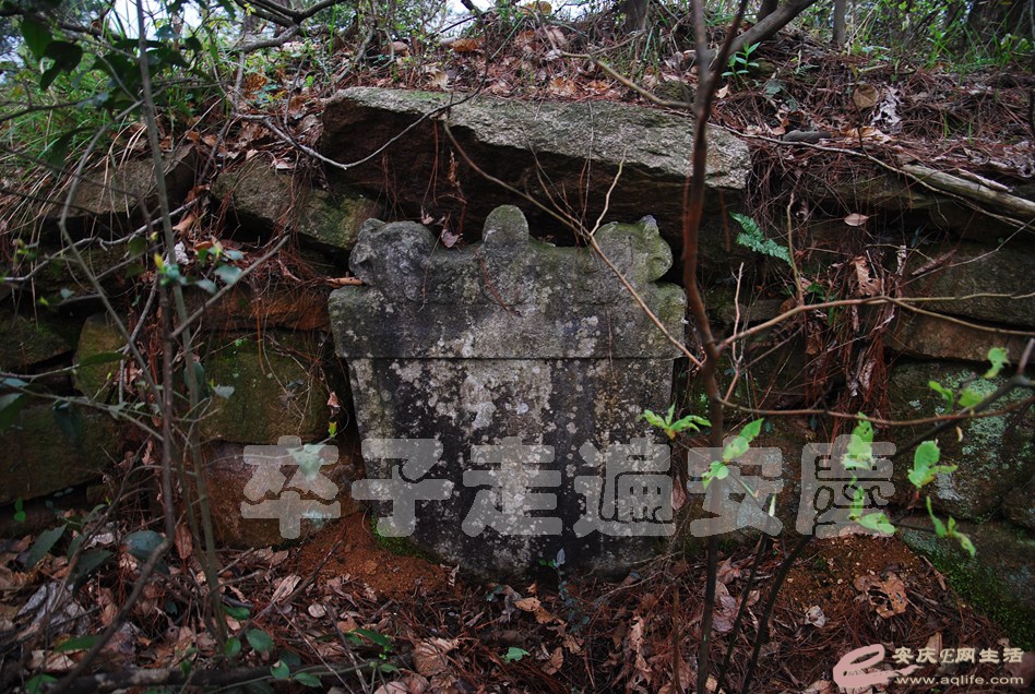 DSC_3011.jpg