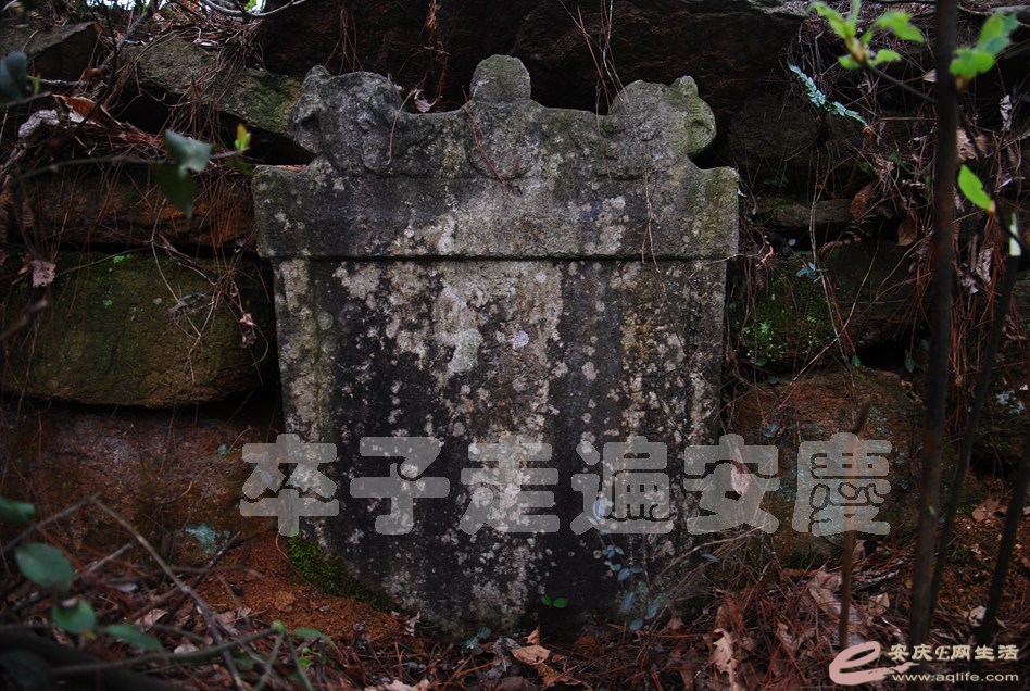 DSC_3012.jpg