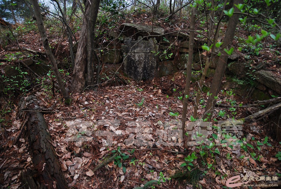 DSC_3022.jpg