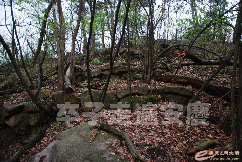 DSC_3026.jpg