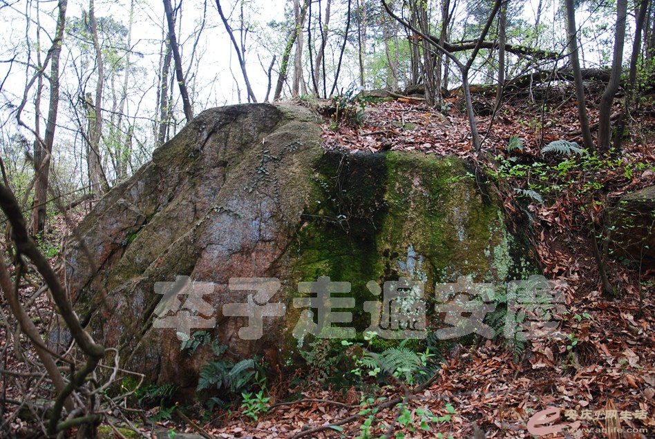 DSC_3034.jpg