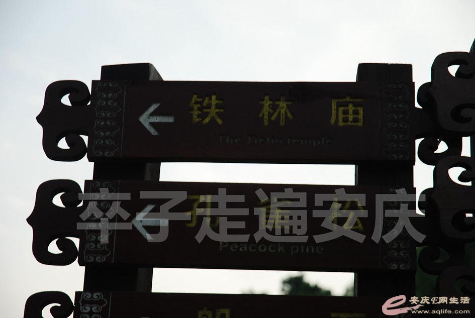 DSC_3889.jpg