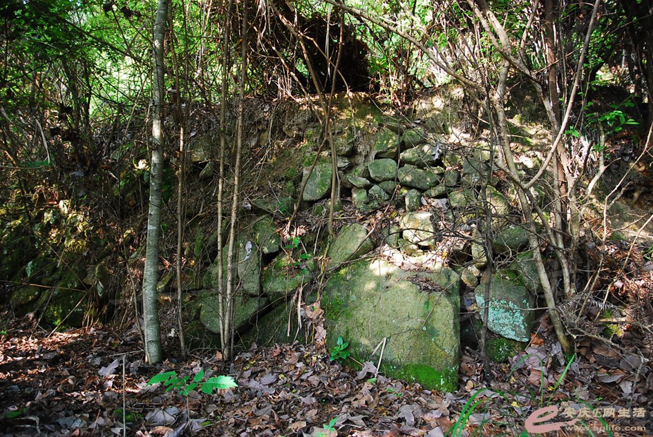 DSC_3953.jpg